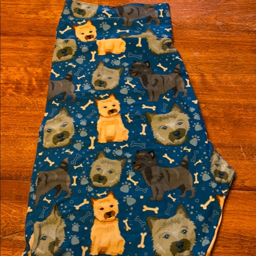 Doggie leggings